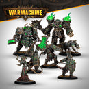 Warmachine: The Graveborn Command Cadre