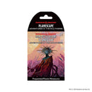 D&D: Icons of the Realms - Planescape - Adventures in the Multiverse